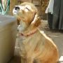 Feeling the #Sun on your face