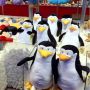 Kijk @jvkup Penguins of Madagascar