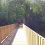 Set out this morning for a short walk & ended up doing 16km out around Island Lake. Wonderful new bridges!