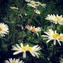 #Spring is finally arrived!