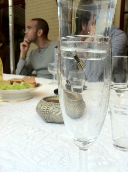 talking about freedom cc @oubelkas