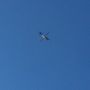 Chopper 7 right over my head, in Burien, near where shooter lady's car was apparently found. 
