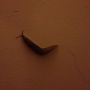 Ah bah!!! Nee he!!! #ongewenstbezoek! Waar is de man als je hem nodig hebt!!!