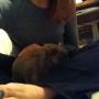 Mommy cuddles before bed. 