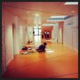 Lovely to see circulation spaces & the building being used for art installations