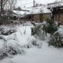 My garden is so quiet under this beautiful blanket of snow!