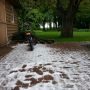 Zomer in Dalfsen by erbenwennemars