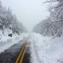 @PattyArquette ready, set SNOW! 3+ feet of snow on May 26 in NY 
