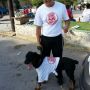 Las mascotas también participan en Paseo Recreativo de @SomosMonclova #Monclova -