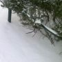 Snooow!! #010