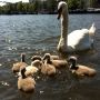 cute visitors! #mobyboat