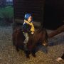 Mijn cowboy!