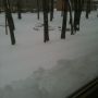 ...day 6 of snowing. #thatshitcray