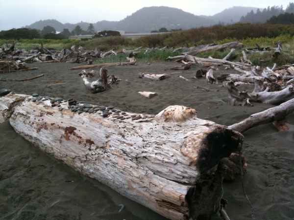 driftwood