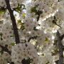 Spring is in the air!!! <3
