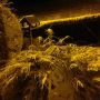 Wow the snow is deep