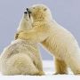 @AshlynM35 Sounded like you needed a hug 