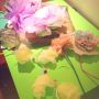Making tissue paper flowers with my friend Rose & @IsaacBoots #SpringtimeCrafts