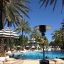 Ciao Miami!Thank you @Lee_Schrager & #SOBEWFF
For a wonderful weekend and all your hard work!had a grt time as ways!!