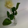 It's always nice to receive a rose in the #Edinburgh Lounge, even if it is still a week until St Valentine's Day! ^HR