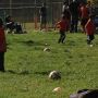 Up early for my favorite little mans soccer practice 