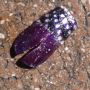 I thought this was an amazing type of beetle I had never seen before...but then I bent down to look closer!
#1of10