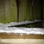 @NashSevereWx I would say. At least 1/4 inch in #greenhills Still coming down #tspotter