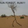 run forest! via @elskamp