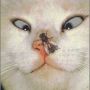 #funny #humor #pic of the #day #lol