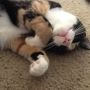 No... This is sleeping... @MrsWfan
