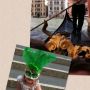 @gingeraleplus ik heb nog n masker over!!;) ga je mee? #LaDolceVita ;)