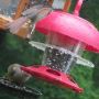 @AKbirder @MaineBirder @gemswinc @PikeNurseries @PenningtonBirds @birdfeeders Rainy day feeder. 