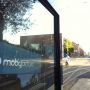 Spot the Moby Campaign #stmc #love020