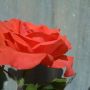 For you