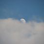 Cloudy evening Moon 20/4/13 #moonwatch #wonders