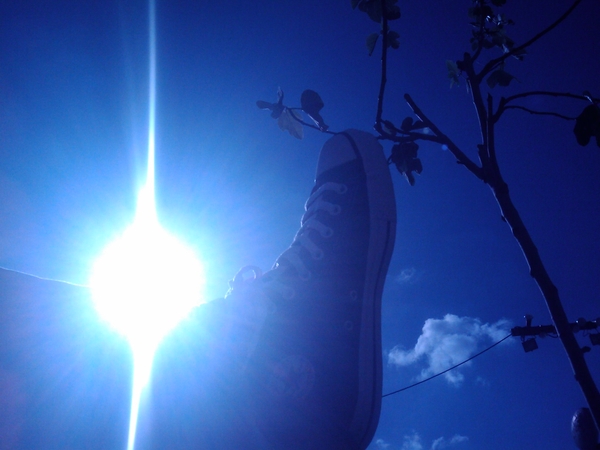 Enjoying the sun, blue skies, a nice tree and my new Chucks
