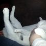 Pootjes omhoog geldt niet alleen voor baasje, maar ook voor ons katten.... :) #CatsRulesTheCouch #lucky 