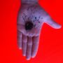 Tijd om te kliederen.