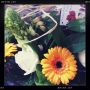 My Mother's Day flowers from @dutchcowboy :)