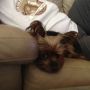 Hi aunties!! @JammyBenter @prpleambi @kaamita @madeira_blue @JanetB418 @mbtruenorth