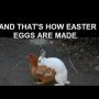 Easter Eggs r made like this... 