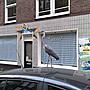 zou die bij die stichting horen