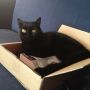 #Uma says "What?? You knew I like to read!"