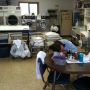 Lazy Laundry Day