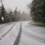 @IAMMGraham @bostonchannel snow at Mt. Greylock in Adams,MA yesterday 