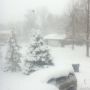 Seriously Mother Nature, get off your damn mood swings! Already at 6-7"! #Virgil #IWantSpring
