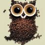 Goedemorgen… tweet jij ook iedere ochtend iets met koffie? #koffie #twitter 