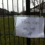 Al 6 honden dood door gif in de Hambaken in #073, zeggen buurtbewoners. #ob