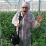 Hysterisch! Bacterie vrij de kas in! #crisis #glastuinbouw
