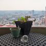 From my downtown #Denver balcony, you can usually see the #RockyMountains...but not today. #Colorado #Wildfires #Photo